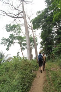 Walking to lake