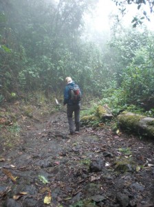 Eén groot probleem: door de regen is het pad superglad geworden! Modder, bladeren, boomwortels en gladde stenen zorgen ervoor dat we extra voorzichtig moeten blijven!