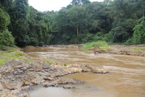 Rivière qui mène aux chutes