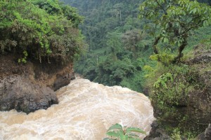 Saut dans le vide